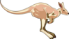 Jumping Kangaroo Clip Art